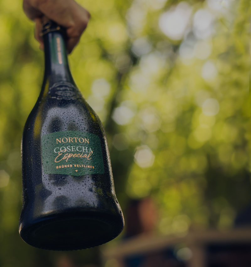 Gruner Veltliner 2