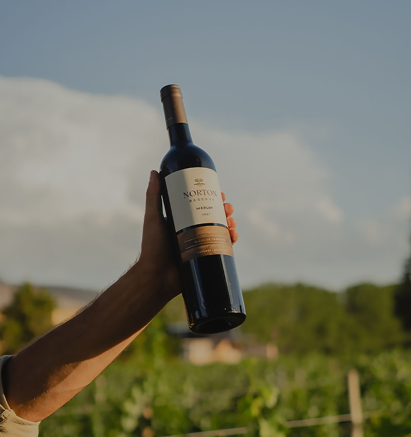 Reserva_Merlot